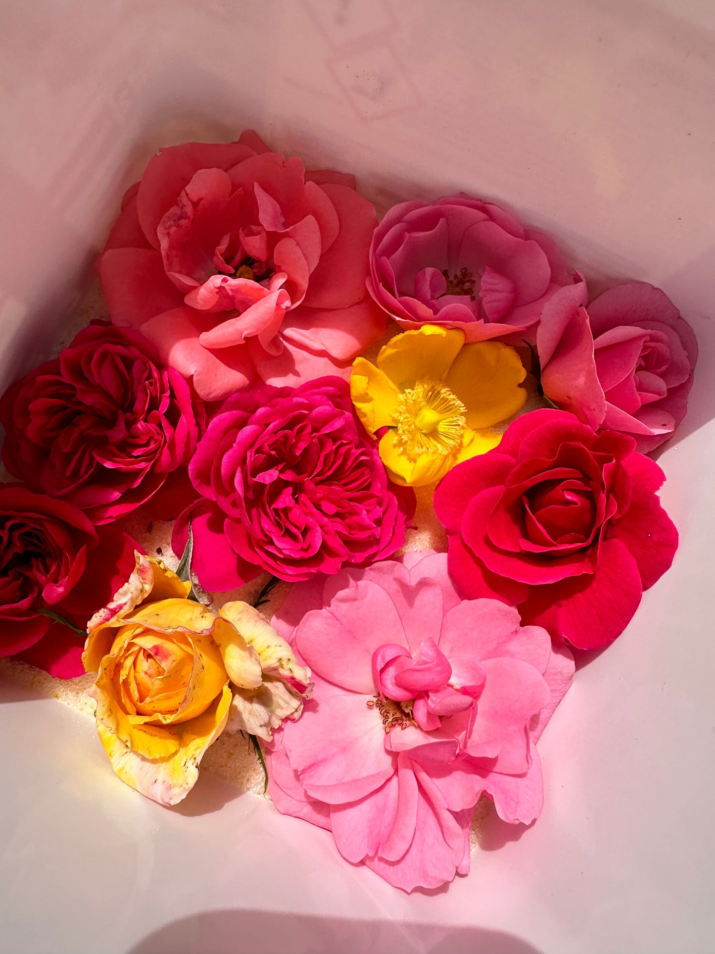 Formation Inclusions fleurs