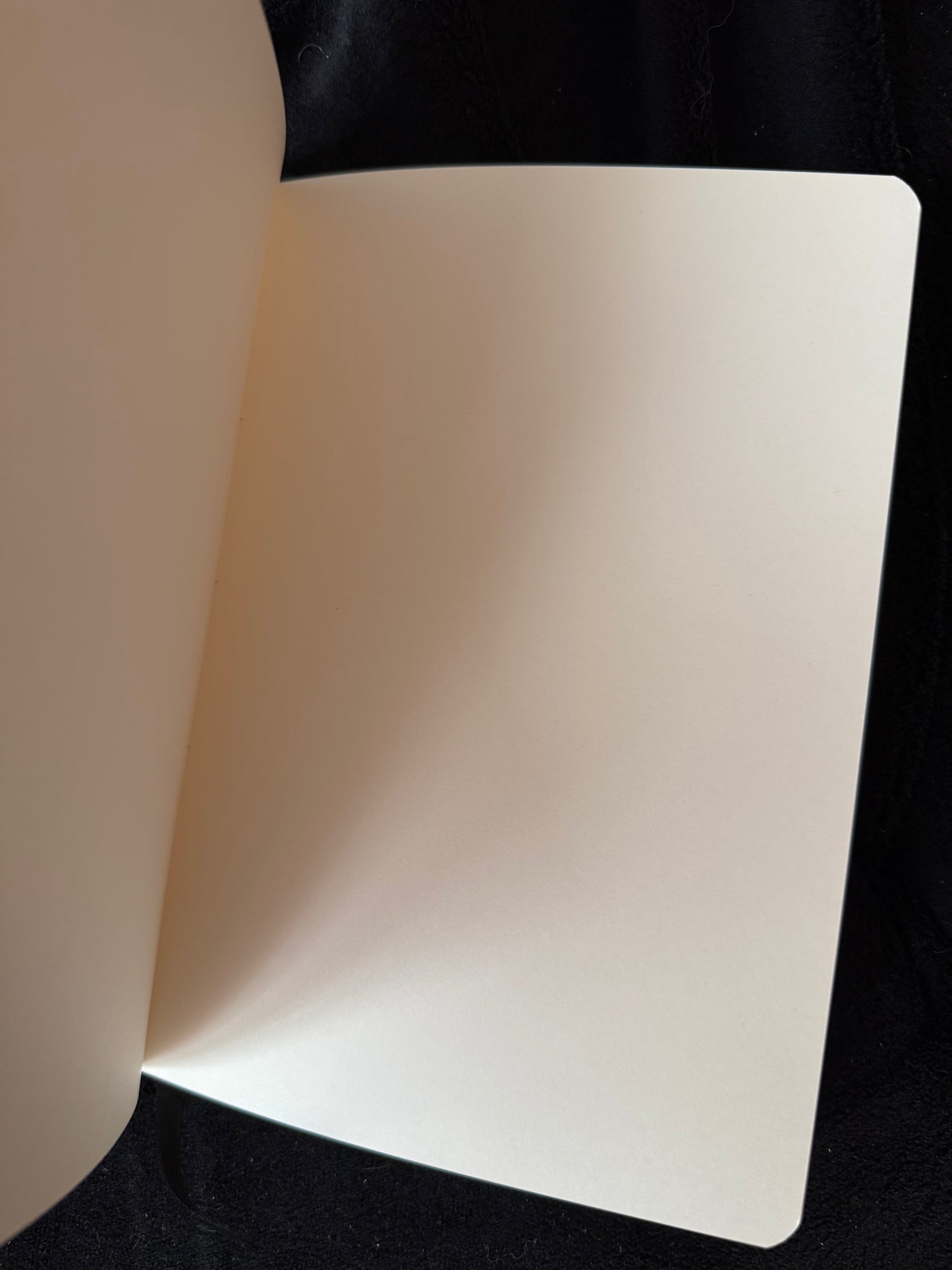 Carnet grimoire Bicolore enchanté